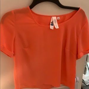 short sleeve crop top